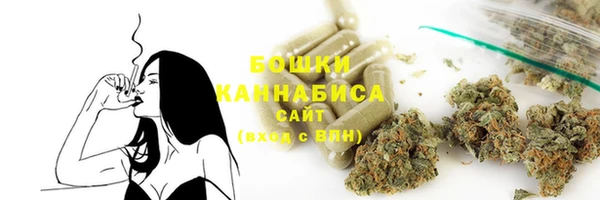apvp Аркадак